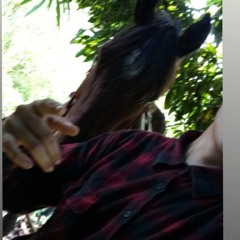 Allendes.R