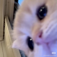 ︎ ︎ ︎ ︎ ︎ ︎ ︎