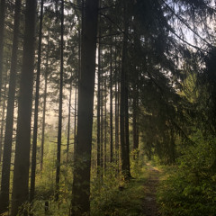 annbritt_09