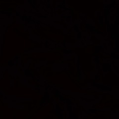 zeruel 웃