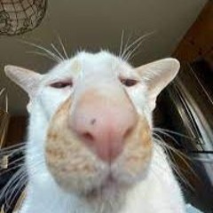 MikOoOoO