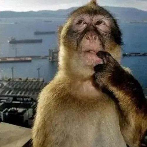 cái gì mùa đông mùa hạ demo