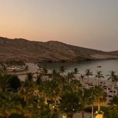 omar hasaan