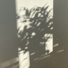 Escucha_