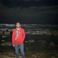 Youssef Mahmoud Elwakd
