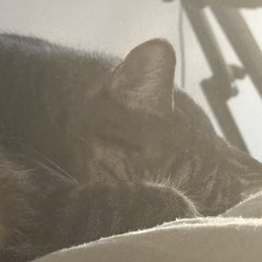 Charlie Cross