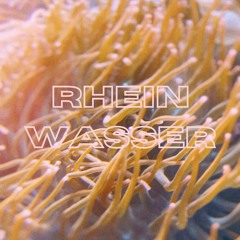 Rheinwasser