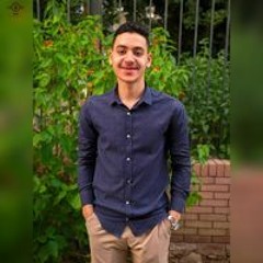Besho A. Magdy