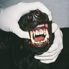 diamondinapieceofshit