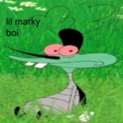 Lil Marky Boi