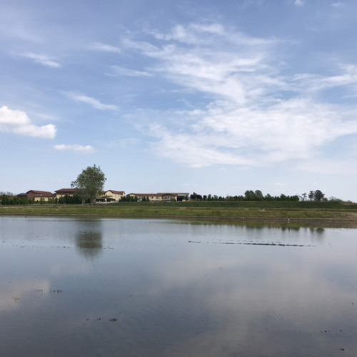 blues In A dec 20 AM challenge