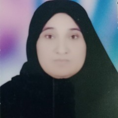 Youmna Bahaa
