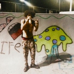 BNF FLIP