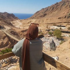 Noha Mohamed