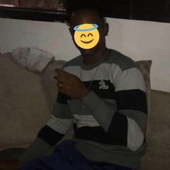 Semente Stl