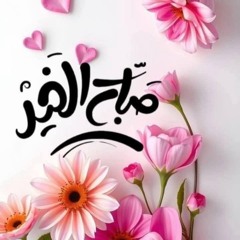Ahmed Fetyan