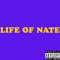 Nate Mclean