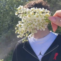laflexicointhebitch