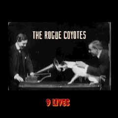 The Rogue Coyotes