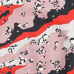 yo-sin