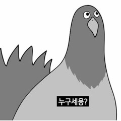 선글라스 낀 고앵이