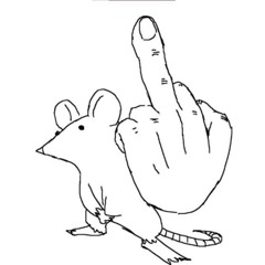 Rat