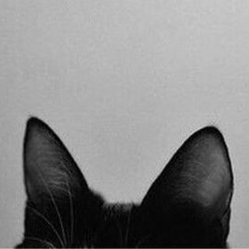 Stream X music Listen to songs, albums, playlists for free on SoundCloud