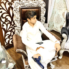 Ahsan Bhutto