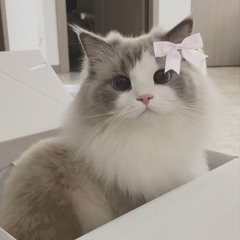 穹