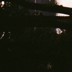 Christian Montenegro