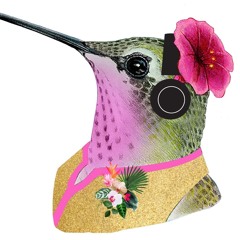 Lady Hummingbird