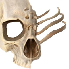 LÖRDAEN