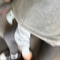 lewisssj_