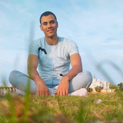 احمد بن منصور بن محي الدين’s avatar