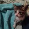 iluvkatz