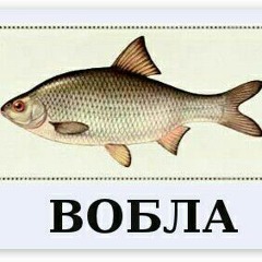 theriseofdegradation