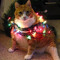 ~MerryDav