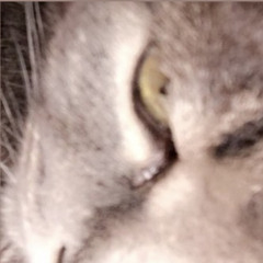 esa’s 2nd old page