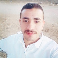 هانى الغويط