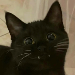 NørmallyUser
