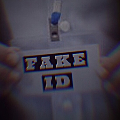 FAKE ID’s avatar