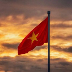 Tâm lặng như nước 🪷