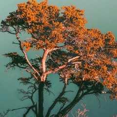 Stadt die niemals schläft - Moop Mama(Cello Cover)