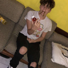 Ant_.81333