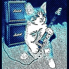 A Cat with a Guitar²