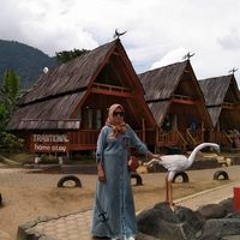 Nani Ibrahim