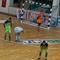 fzks_dominik