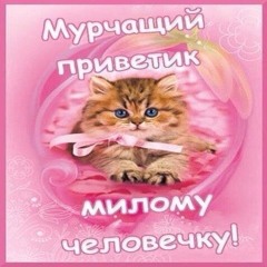 цифро!! (>w<)