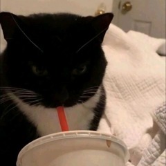 ssss