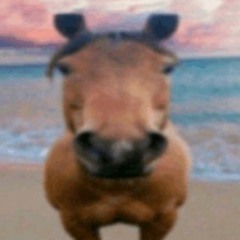 Vietnamese vietnamese song